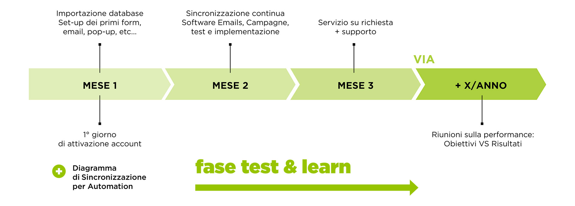 step progetto